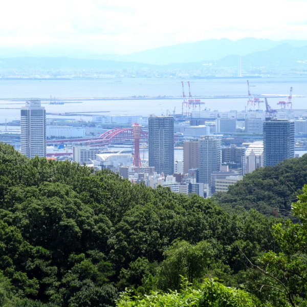 鵯越大仏展望台から見た神戸大橋