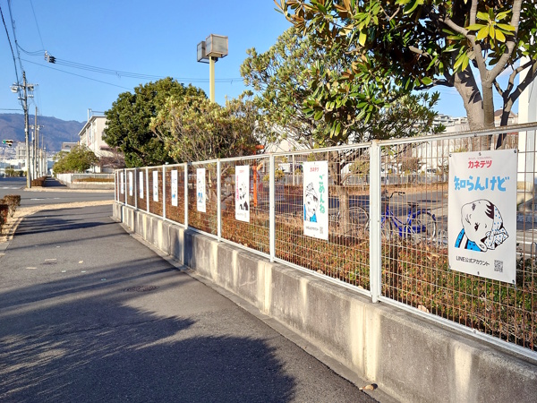 �J�l�e�c�f���J�t�[�Y�{�ЍH��