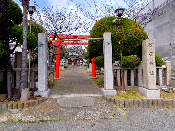 駒ヶ林蛭子神社