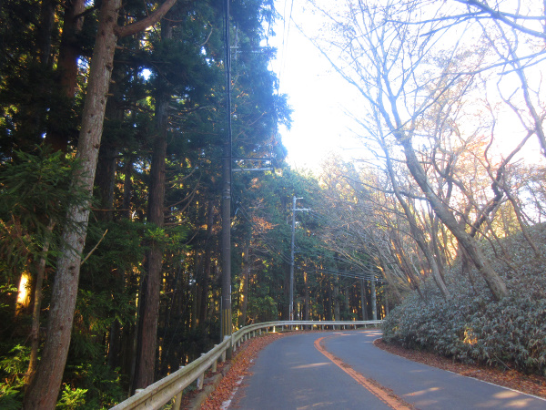 六甲山最高峰への道