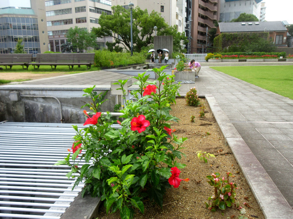 兵庫県庁芝生広場