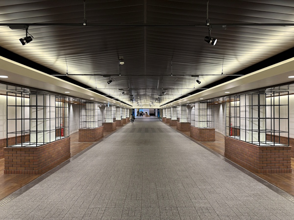 �V���c�̒n����