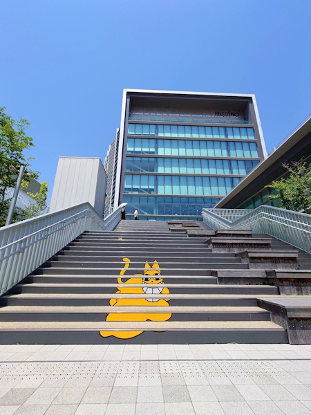 �t�F���V���{��